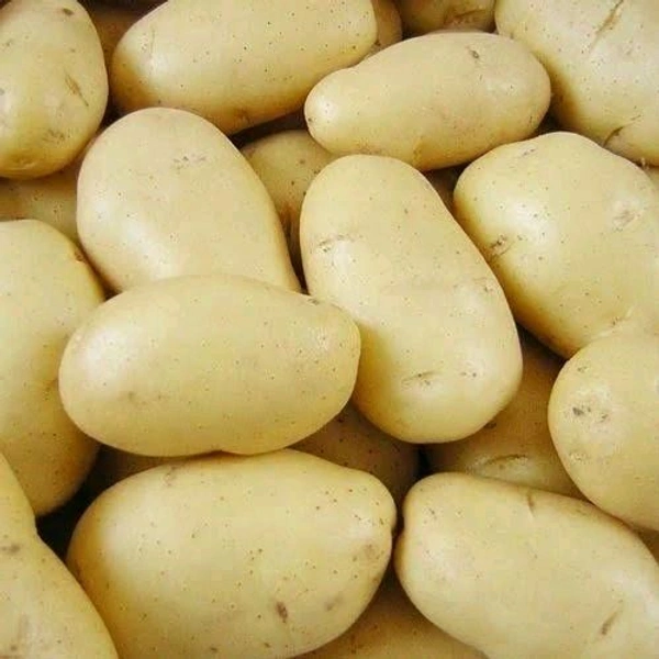 White Potato / Safed Aalu / सफेद आलू  ( 1kg )