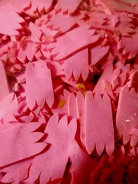 W Cut (200 Grams) - Tickle Me Pink, 6 cm