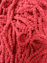 Premium Finished Velvet Lari  - Red