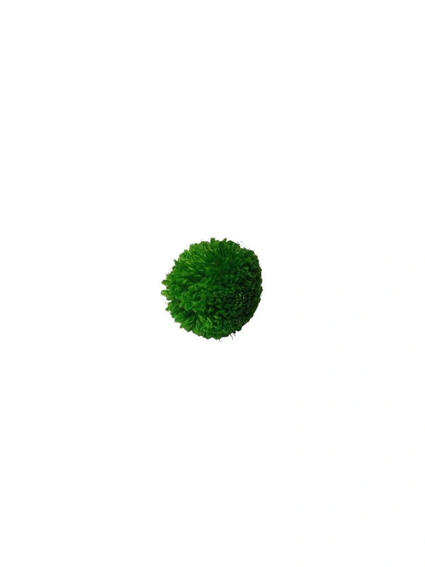 Pom Pom (Pack Of 200) - Green