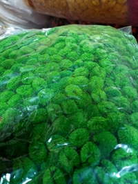 Pom Pom (Pack Of 200) - Green
