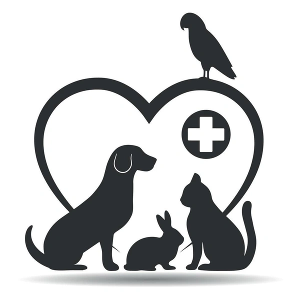 VET on the Go