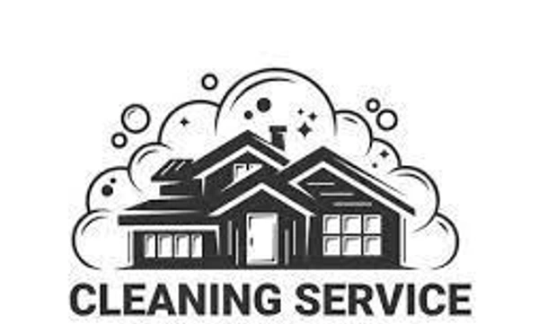 Home Cleaner for 3 Hours