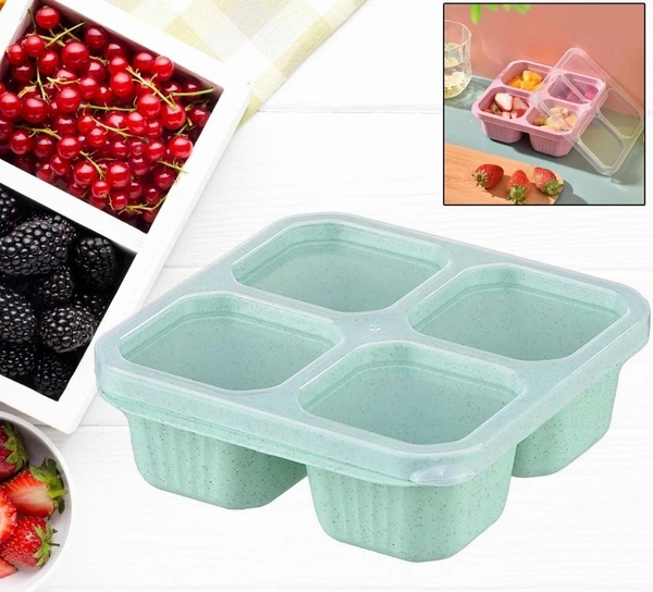 4 Compartment Food Storage Containers (1 Pc) BX12105