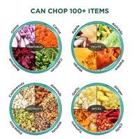6-Blade 2-in-1 Manual Food Chopper (1000ml) – Compact & Powerful BX2065