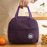 Lunch Box Bag for Women Men Insulated Lunch Bag With Zipper (1 Pc) BX8915