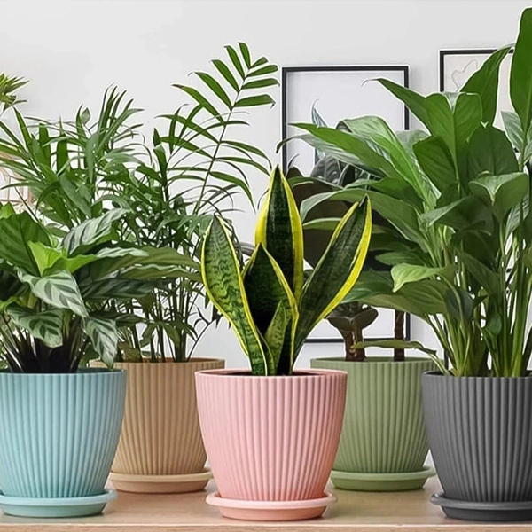 Plastic Flower Pot with Bottom Tray (5 Pcs Set) BX18265
