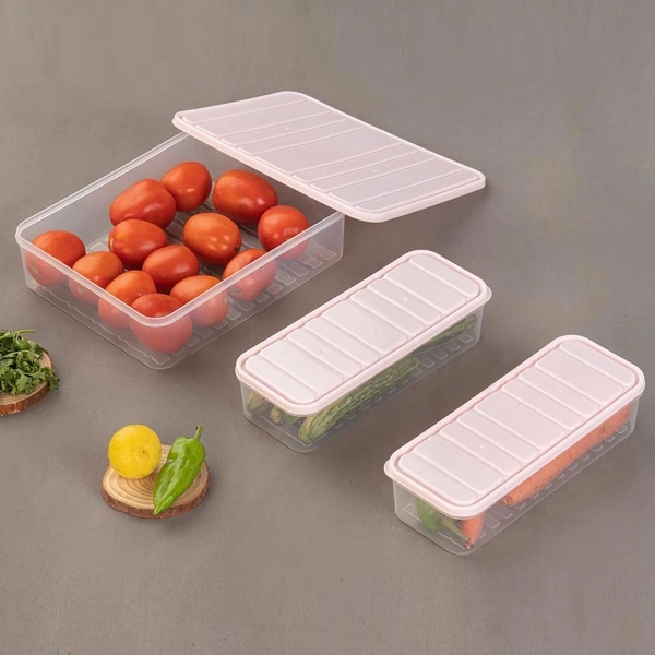 Plastic Food Storage Container for Fridge (3 Pcs Set) BX5637