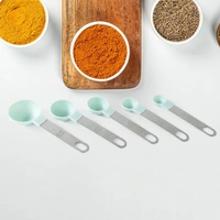 Stainless Steel & Plastic Measuring Spoons – Set of 5