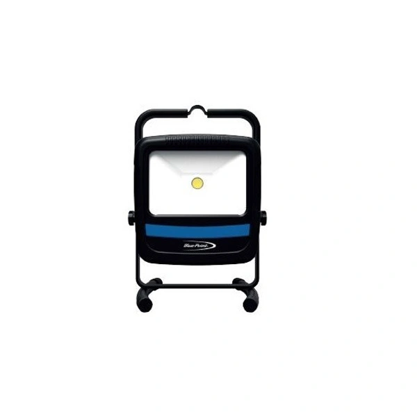 Blue Point ECFFLOODAP LED Flood Light.