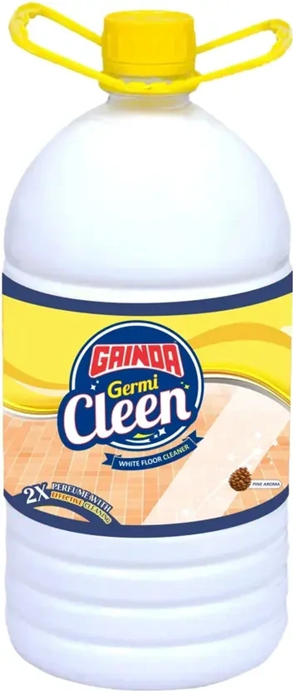 GAINDA Germi Cleen Plain Floor Clener (5 L) - 5L, GAINDA