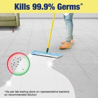 Lizol Disinfectant Surface & Floor Cleaner Liquid, Lavender - 625ml  - 625ml, Lizol