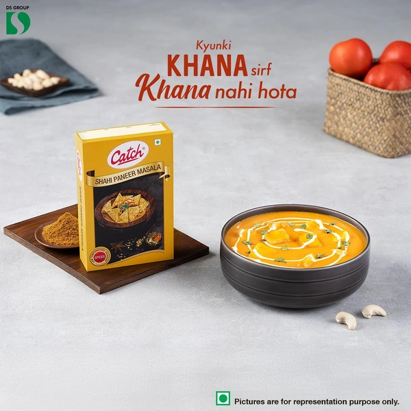 Catch Sahi Paneer Masala, 100g - 100g, Catch