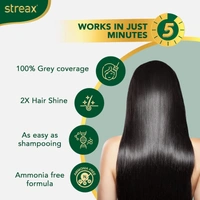 Streax Insta Shampoo Hair Colour, Natural Black  - Streax