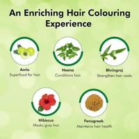 Indica Easy 10 Minutes Hair Color Shampoo Natural Black - Indica