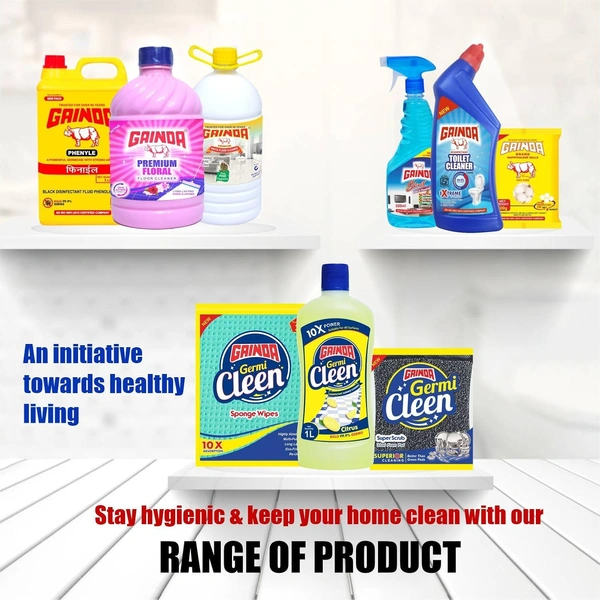 Gainda Floral Surface Cleaner – Hygienic Shine for Home & Commercial Spaces (2L) - 2L, Gainda