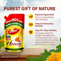 Dabur Honey - 750g Refill Pouch - 750ml, Dabar