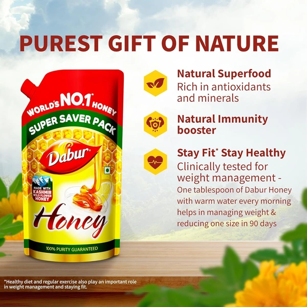 Dabur Honey - 750g Refill Pouch - 750ml, Dabar