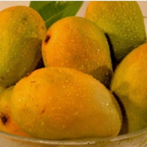 Nilam Mango/ नीलम आम  - 1kg