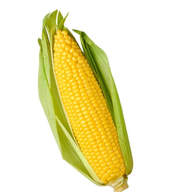 Sweet Corn - 1 Kg