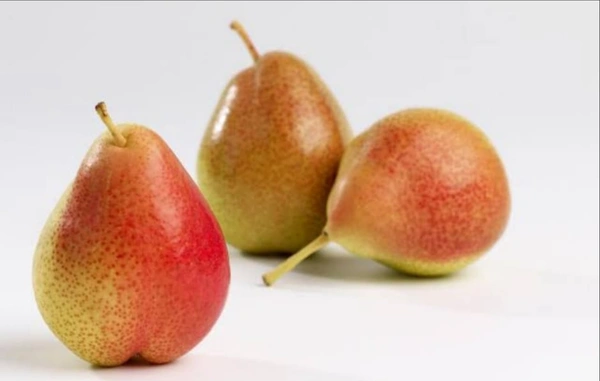 Pears (Red) / नाशपाती - 1 Kg