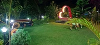 Simlipal Forest + Balasore Dublagori Combo Pack - 3 Days 