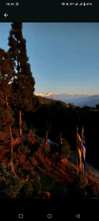 Darjeeling+Tinchuley - 3 DAYS