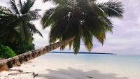 ANDAMAN TOUR - 4N/5D