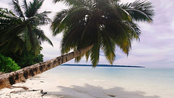 ANDAMAN TOUR - 4N/5D