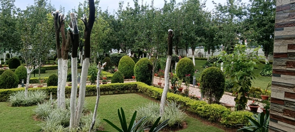 Ranchi, Betla & Netarhat - 4N/5D