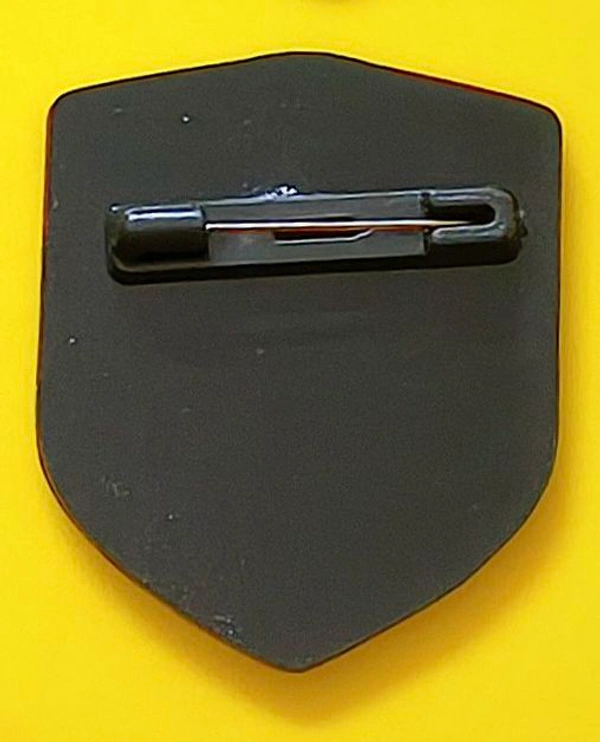 Star of The Month Badges (Set Of 2)