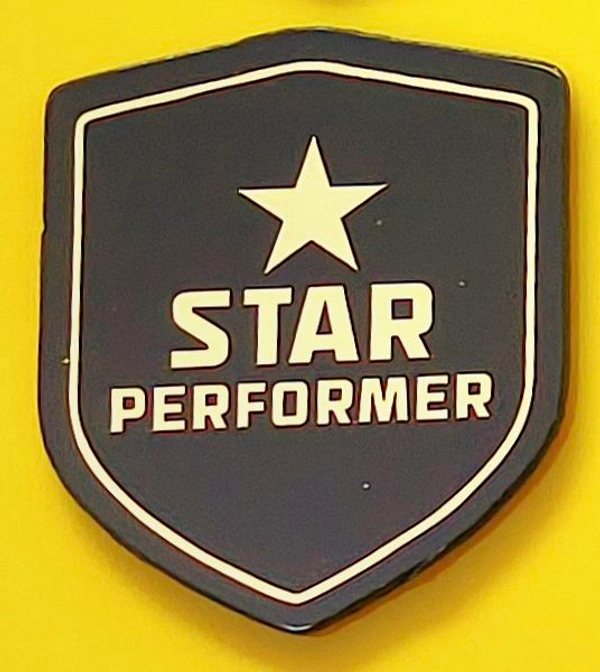 Star Performer Badges (Set Of 2)