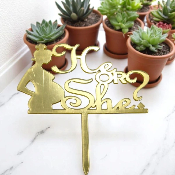 He Or She Cake Topper