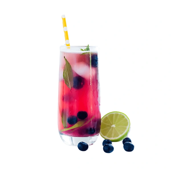 LightBite Blueberry Mojito