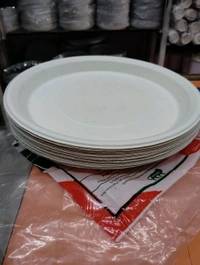 12 Round Plate  (25pics) Pkt