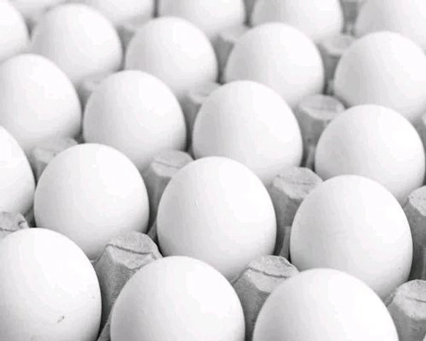 White Eggs Tray - 30 Pics