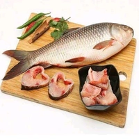 Rohu Fish Live  - 1kg