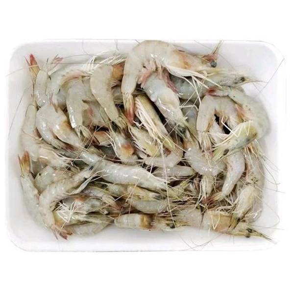 Prawns Without Dress  - 1 Kg