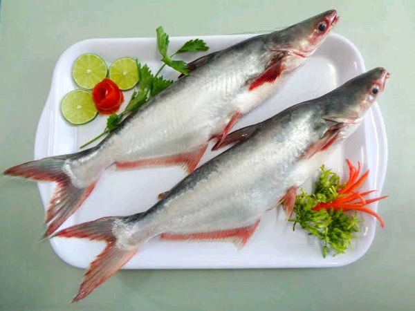 Bekar Live Fish  - 1.4gm To 1.5 Gm