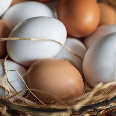 EGGS