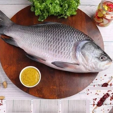 Fish