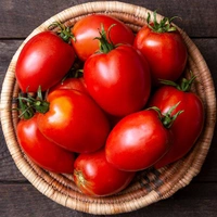 টমেটো (Tomato – Tomato)
