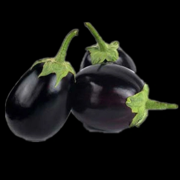 বেগুন -Began  - Black