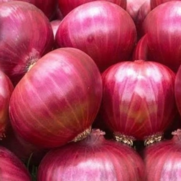 পেঁয়াজ (Peyaj – Onion)