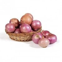 পেঁয়াজ (Peyaj – Onion)