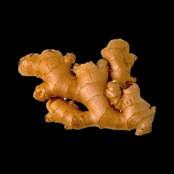আদা (Ada – Ginger)
