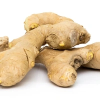 আদা (Ada – Ginger)
