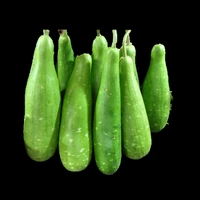 লাউ (Lau – Bottle Gourd)
