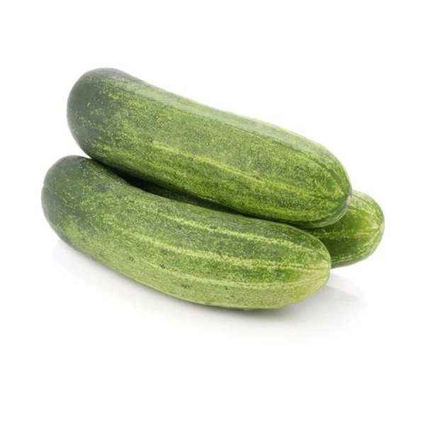 শসা (Shosha – Cucumber)
