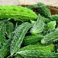 করলা (Korola – Bitter Gourd)